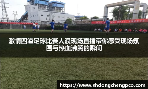 激情四溢足球比赛人浪现场直播带你感受现场氛围与热血沸腾的瞬间