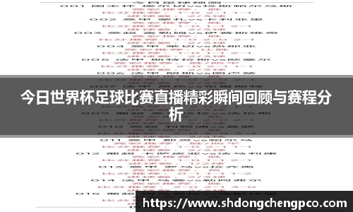 今日世界杯足球比赛直播精彩瞬间回顾与赛程分析