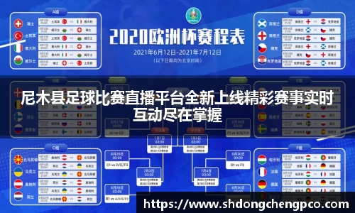 尼木县足球比赛直播平台全新上线精彩赛事实时互动尽在掌握