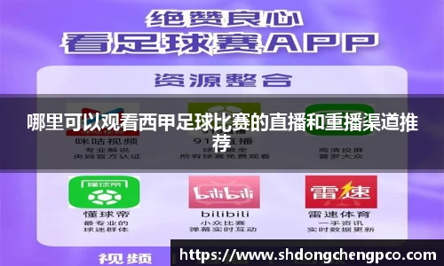 哪里可以观看西甲足球比赛的直播和重播渠道推荐