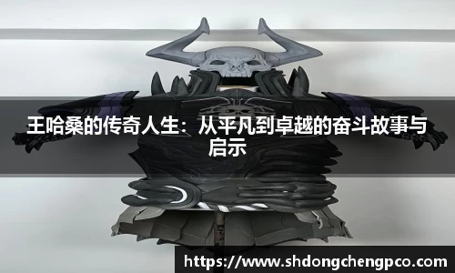 王哈桑的传奇人生：从平凡到卓越的奋斗故事与启示