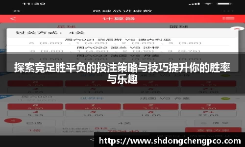 探索竞足胜平负的投注策略与技巧提升你的胜率与乐趣
